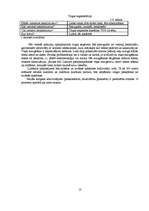 Biznesa plāns 'Biznesa plāns', 10.