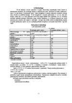 Biznesa plāns 'Biznesa plāns', 11.