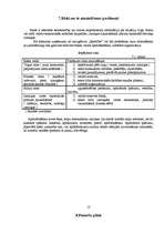 Biznesa plāns 'Biznesa plāns', 13.