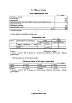 Biznesa plāns 'Biznesa plāns', 14.