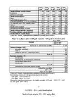 Biznesa plāns 'Biznesa plāns', 17.