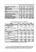 Biznesa plāns 'Biznesa plāns', 18.