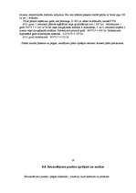 Biznesa plāns 'Biznesa plāns', 19.