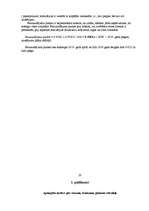 Biznesa plāns 'Biznesa plāns', 20.