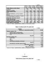 Biznesa plāns 'Biznesa plāns', 22.