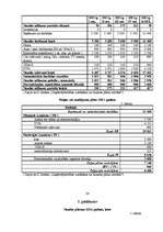 Biznesa plāns 'Biznesa plāns', 24.