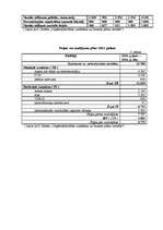 Biznesa plāns 'Biznesa plāns', 26.