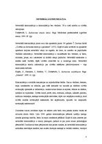 Referāts 'Neverbālā komunikācija', 4.