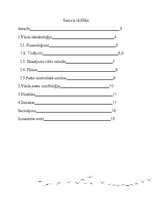 Referāts 'Vārda "putns" analīze', 2.