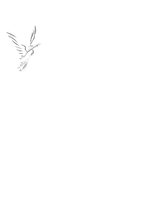 Referāts 'Vārda "putns" analīze', 14.