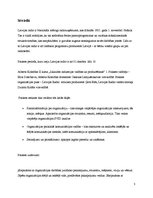 Prakses atskaite 'Prakses atskaite', 3.