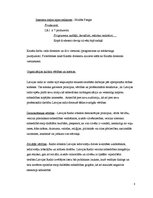 Prakses atskaite 'Prakses atskaite', 8.