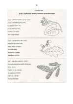 Diplomdarbs 'Folkloras apguve literatūras stundās speciālajā pamatskolā bērniem ar garīgās at', 76.