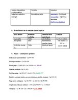 Biznesa plāns 'Kafejnīcas biznesa plāns', 12.