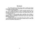 Referāts 'Datoru tīkli', 11.