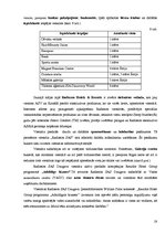 Referāts 'Lielāko Rīgas konferenču viesnīcu mārketinga darbības salīdzinošs raksturojums', 19.