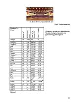 Referāts 'Lielāko Rīgas konferenču viesnīcu mārketinga darbības salīdzinošs raksturojums', 25.