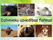Prezentācija 'Dzīvnieku uzvedības formas', 1.