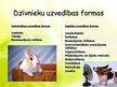 Prezentācija 'Dzīvnieku uzvedības formas', 2.