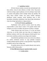 Referāts 'XII tabulu likumi - pirmā Romas tiesību kodifikācija', 14.