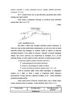 Referāts 'Montesori metodes izmantošana sociālo prasmju veidošanā pirmsskolas vecumā', 19.