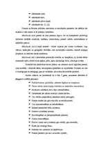 Referāts 'Montesori metodes izmantošana sociālo prasmju veidošanā pirmsskolas vecumā', 32.