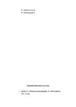 Referāts 'Montesori metodes izmantošana sociālo prasmju veidošanā pirmsskolas vecumā', 33.