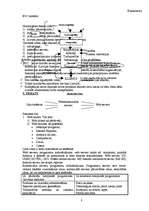 Konspekts 'E-komercija', 8.