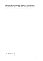 Referāts 'Ķīpsalas terciārā sektora attīstības perspektīvas Rīgas 2006.-2018.g. attīstības', 8.