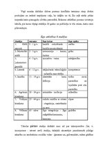 Referāts 'Erika Eriksona personības attīstības teorijas', 3.