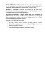 Konspekts 'Elpošanas frekvences noteikšana', 6.