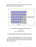 Diplomdarbs 'Nekustamā īpašuma nodokļa administrēšanas uzlabošana Rīgas pilsētā', 43.