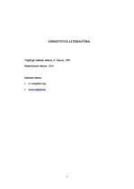 Konspekts 'Romas sadzīve, arhitektūra, māksla, tiesību zinātne', 7.