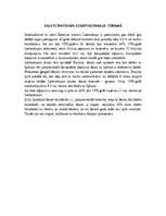 Referāts 'Tūrisms Lielbritānijā', 13.