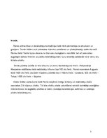 Referāts 'Pilsētu labiekārtojums antīkajā Romā', 3.