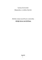 Referāts 'Akciju kursa novērtēšana', 1.