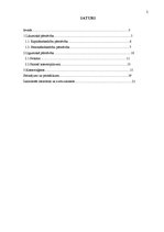 Referāts 'Pārstāvība komerctiesībās', 2.