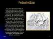 Prezentācija 'Fotosintēze', 5.