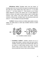 Referāts 'Augstu temperatūru žāvēšana', 18.
