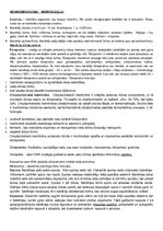 Konspekts 'Mikroorganismu morfoloģija', 1.