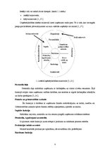 Diplomdarbs 'Uzņēmējdarbības vide SIA "Dona", tās izpēte un analīze', 9.