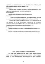 Diplomdarbs 'Uzņēmējdarbības vide SIA "Dona", tās izpēte un analīze', 14.