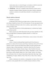 Referāts 'AS "Air Baltic Corporation" zīmola analīze', 9.