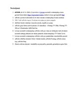 Referāts 'AS "Air Baltic Corporation" zīmola analīze', 11.