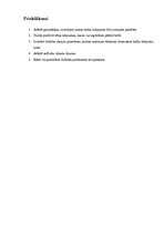 Referāts 'AS "Air Baltic Corporation" zīmola analīze', 12.