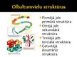 Prezentācija 'Olbaltumvielu funkcijas organismā', 3.