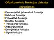 Prezentācija 'Olbaltumvielu funkcijas organismā', 5.