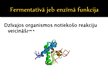 Prezentācija 'Olbaltumvielu funkcijas organismā', 6.