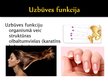 Prezentācija 'Olbaltumvielu funkcijas organismā', 7.