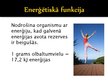 Prezentācija 'Olbaltumvielu funkcijas organismā', 12.